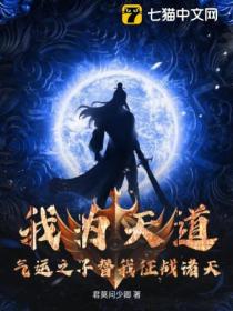 我為天道 氣運之子替我征戰諸天